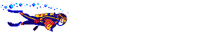 lmscubdivr1x1.gif (14485 bytes)